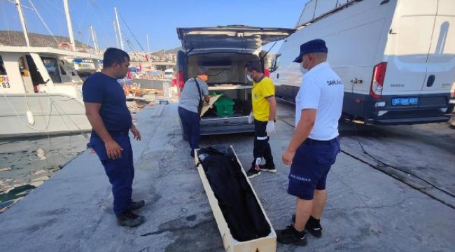 Kuşadası'nda 6 kaçak göçmen kurtarıldı, 1 kaçak göçmen ölü bulundu