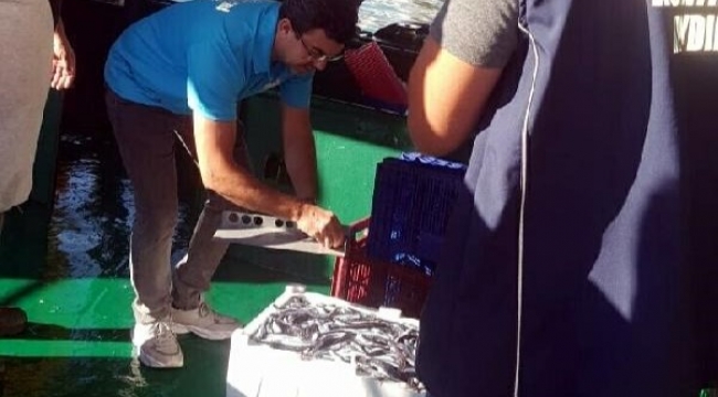 Kuşadası'nda balıkçılara denetim