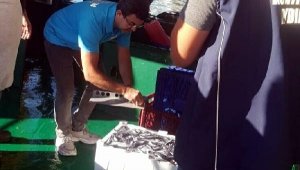 Kuşadası'nda balıkçılara denetim