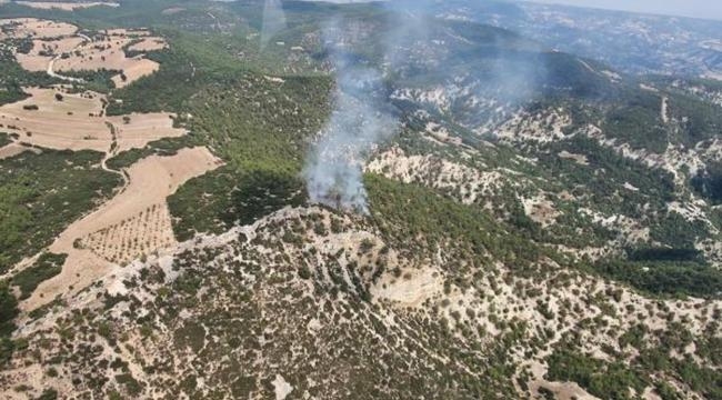 Manisa'da 10 dönüm orman yandı