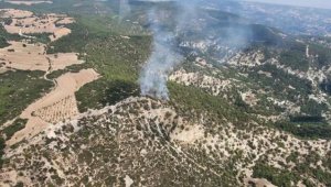 Manisa'da 10 dönüm orman yandı