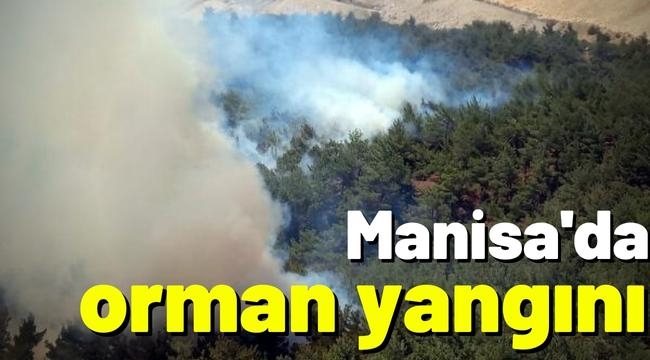 Manisa'da çıkan orman yangını 2 saatte kontrol altına alındı