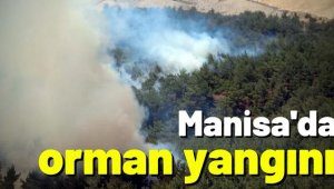 Manisa'da çıkan orman yangını 2 saatte kontrol altına alındı