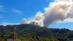 Marmaris'te orman yangını
