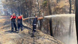 Marmaris'teki orman yangınında 500 hektar alan zarar gördü