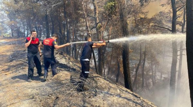 Marmaris'teki orman yangınında 500 hektar alan zarar gördü
