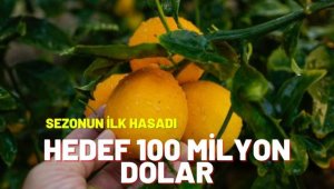 'Mayer limonunda 2022 yılı hedefi 100 milyon dolar'