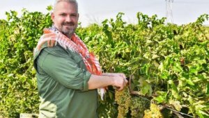 Menemen Belediye Başkanvekili Pehlivan, bağbozumuna katıldı