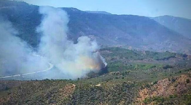 Milas'ta yangın makiliğe sıçradı; 2 hektar alan yandı