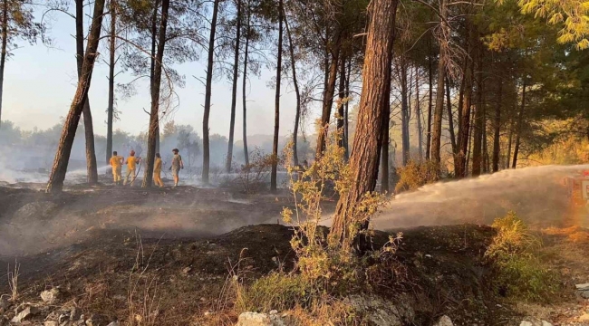 Muğla'da maytapla orman yangını çıkardılar