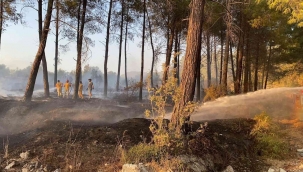 Muğla'da maytapla orman yangını çıkardılar