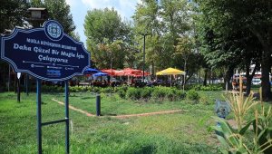 Muğla'da yeşil alanlar her geçen gün artıyor