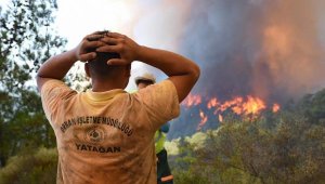 Ormanı yakacağını kardeşine söylemiş!