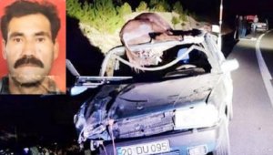 Otomobilin çarptığı eşek ile araçtaki sürücünün babası öldü