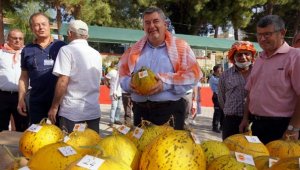 Ovacık'ta festival heyecanı başlıyor