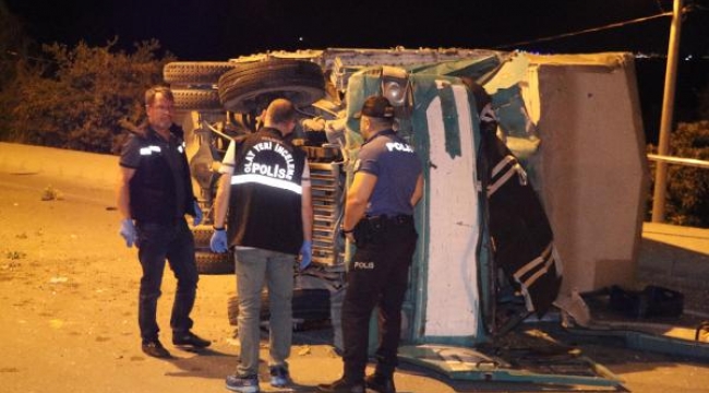 Refüjdeki palmiye ağacına çarpan kamyonetin sürücüsü öldü