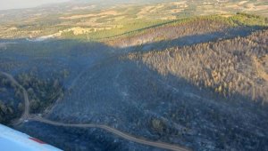 Soma'daki 16 saatlik orman yangınının bilançosu