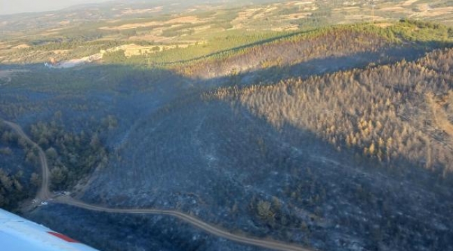 Soma'daki 16 saatlik orman yangınının bilançosu