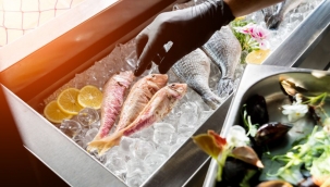 Su ürünlerinde Türkiye birinciliği Muğla'nın