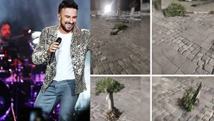 Tarkan konseri için ağaçlar söküldü