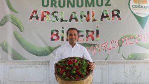 'Torbalı biberi, Urfa isot biberine meydan okuyor'