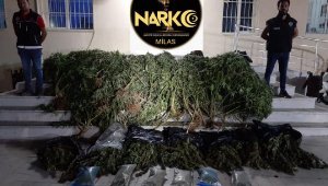 Turizmci çift, uyuşturucu operasyonunda gözaltına alındı 