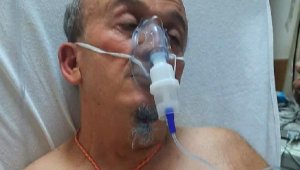 Ormanda yürürken yüzlerce arının saldırısına uğradı