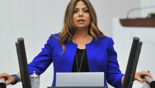 Zeynep Altıok'un iptal edilen festival eleştirisine soruşturma