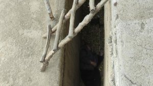 2 metreden boşluğa düşen yaşlı adam öldü