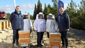 32 farklı sosyal proje: 200 milyon arı için yaşam alanı oluşturuluyor