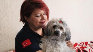 Ambulans hemşiresi, kaza yapan Çekyalı çiftin köpeğine sahip çıktı
