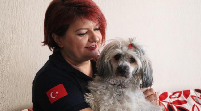 Ambulans hemşiresi, kaza yapan Çekyalı çiftin köpeğine sahip çıktı