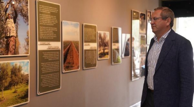 Ayvalık'ta Zeytin Müzesi yeniden ziyarete açılıyor