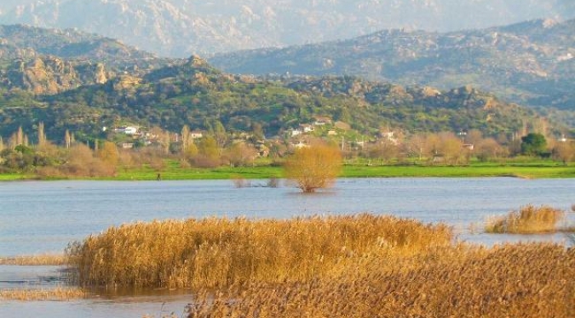 Azap Gölü azap çekiyor! Eğer korunmazsa yok olup gidecek