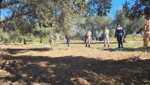 Balıkesir'in zeytinlerini komandolar koruyacak