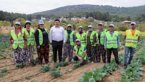 Bucalı çiftçiler belediye desteğiyle kış sezonunun ilk hasadını yaptı