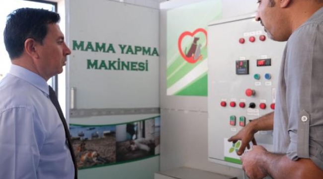 Belediyeden sokak hayvanları için mama üretimi
