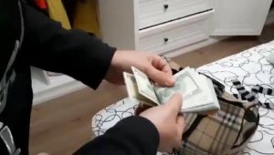 Bodrum'da 'Ahtapot' adlı suç şebekesi çökertildi