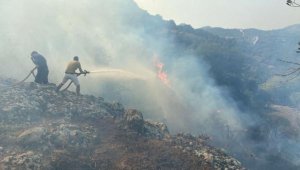 Bodrum'da çıkan maki yangını söndürüldü