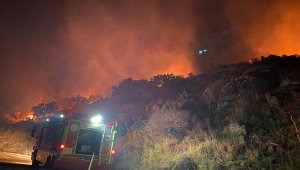 Bodrum'da yangın; 5 dönüm makilik zarar gördü