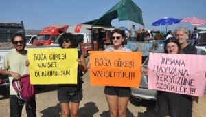 Hayvanseverler, boğa güreşlerine tepki gösterdi