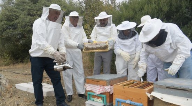 Bornova'da bal sağımı başladı