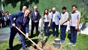 Bornova'da parklardaki ağaçlardaki zeytinler ihtiyaç sahiplerine