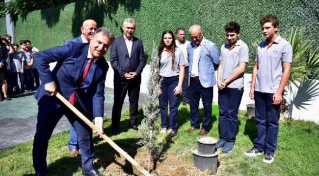Bornova'da parklardaki ağaçlardaki zeytinler ihtiyaç sahiplerine