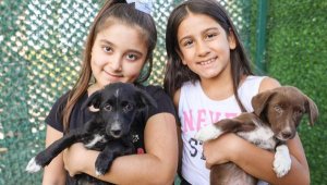 Bucalı miniklere hayvan sevgisi aşıladılar