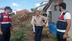 Çalınan hayvanları bulundu, çocuklar gibi sevindi