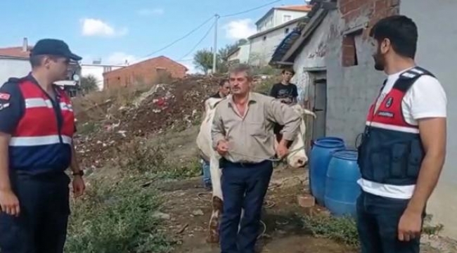 Çalınan hayvanları bulundu, çocuklar gibi sevindi