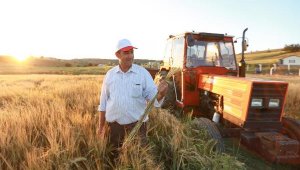 Çiftçinin, sıfır faizli kredi ile elektrik borcu faizlerinin yarısı silinecek