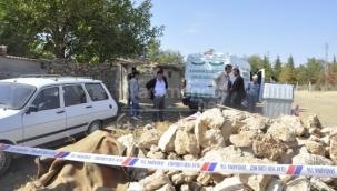 Dehşet! Bir kadın köpek tarafından öldürüldü