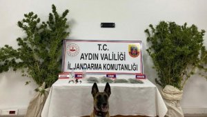 Evinde 325 gram esrarla yakalandı, tutuklandı